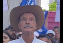 Vicente Fox iría por Presidencia en 2024