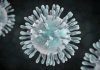 OMS declara emergencia mundial por coronavirus